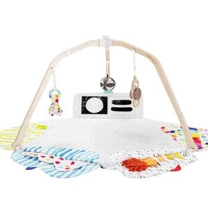 Lovevery Play Gym